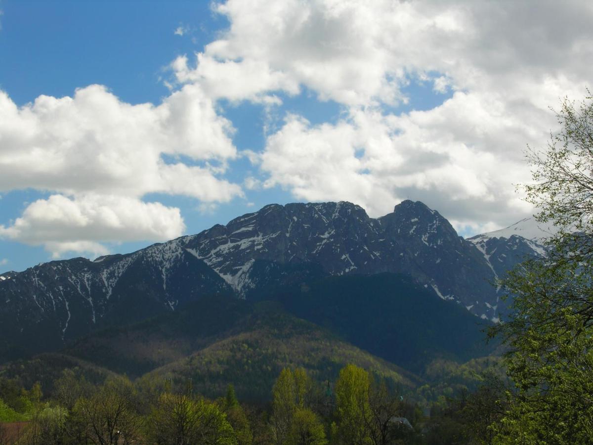 Domki Mroz Zakopane Exterior foto